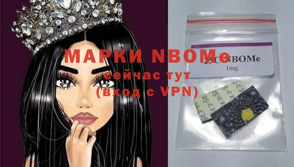 винт Няндома