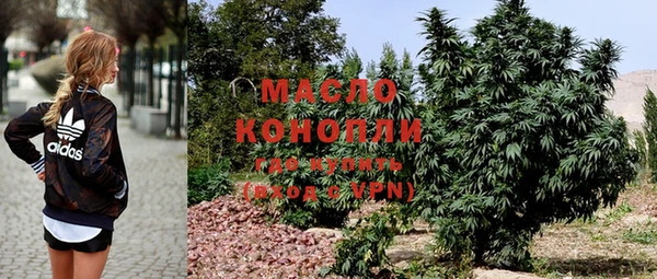 винт Няндома