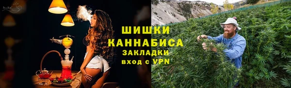 винт Няндома
