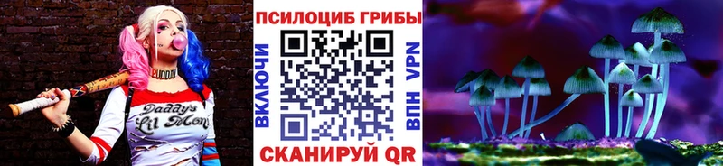 Галлюциногенные грибы Psilocybe  купить закладку  Энем 